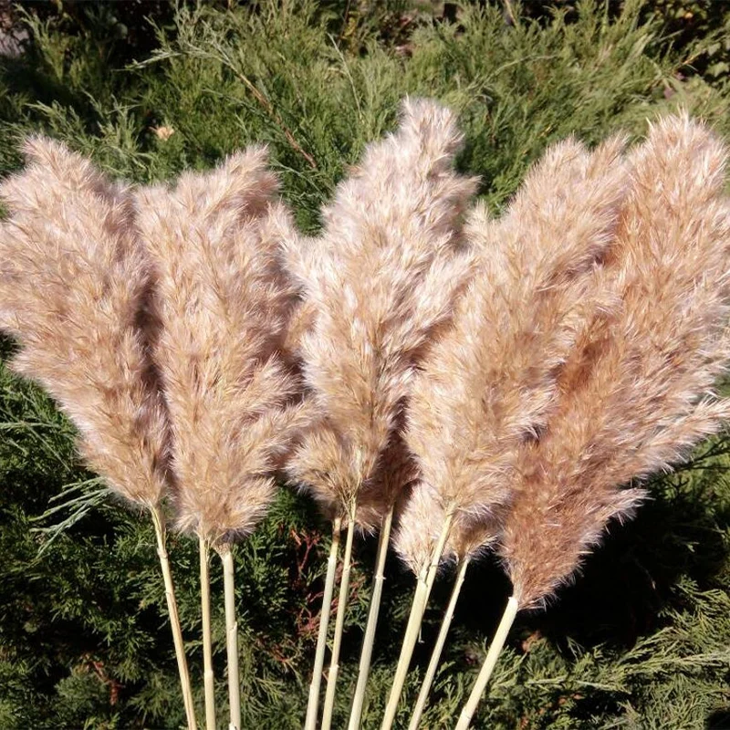 Dried Flowers Bouquet Grass Fall-Decor Altificial-Grass Christmas Multicolor Wedding