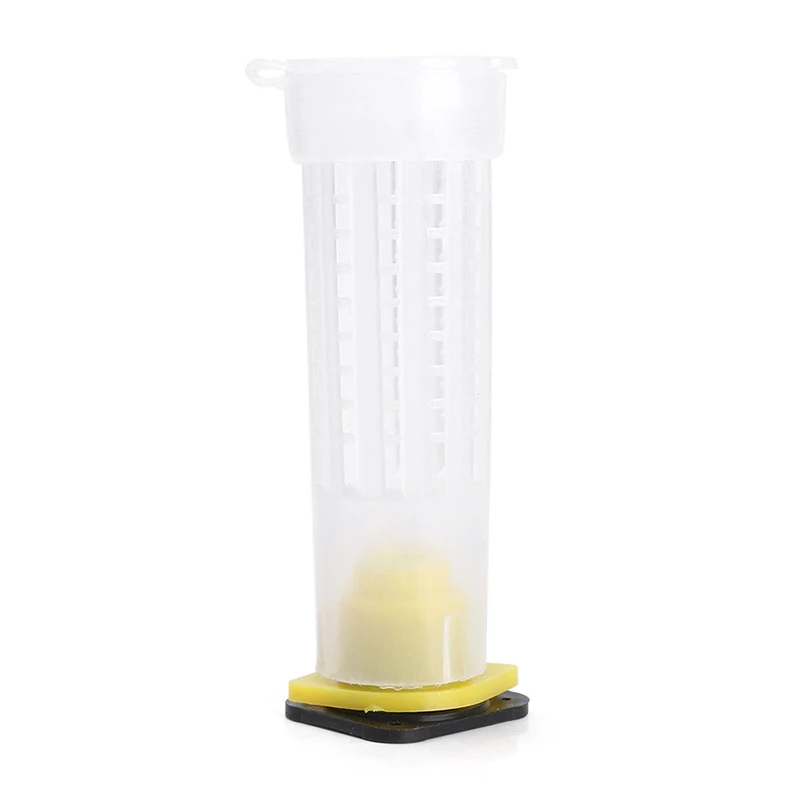 10 компл. Пчеловодство Rearing Cup Kit queen Bee клетки роликовое оборудование для пчеловодов инструмент