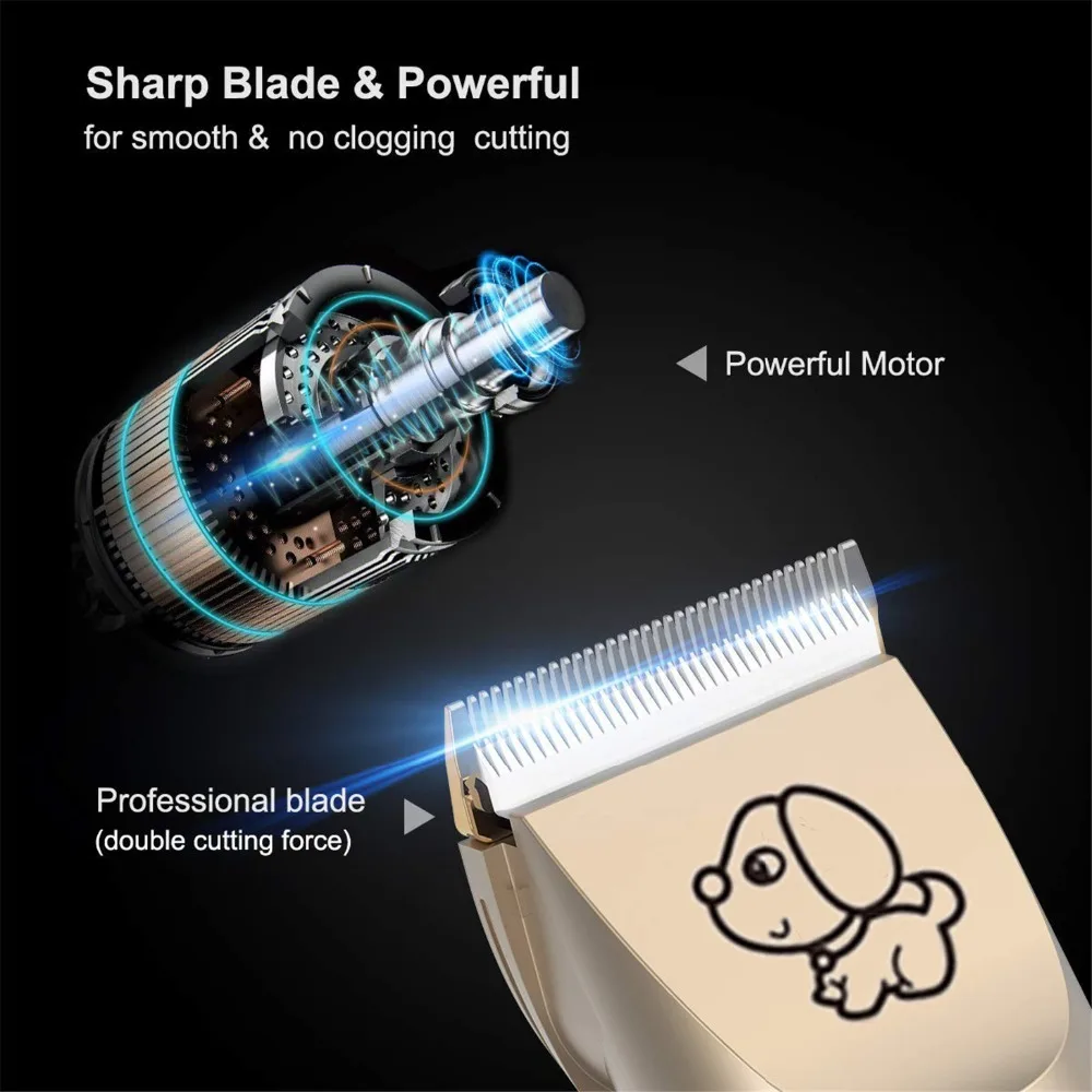 61l+R72IKJL._AC_SL1200_