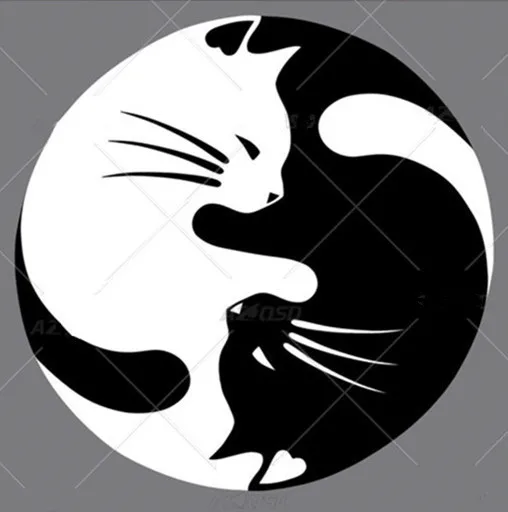 HTB1U_upXoLrK1Rjy1zbq6AenFXaV_