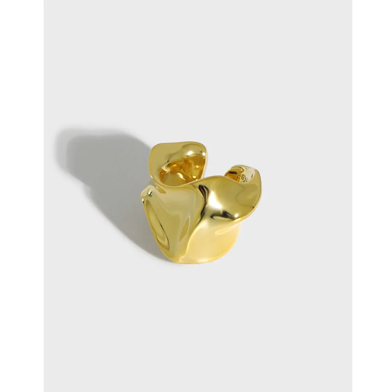 

Только 1 шт. (без пирсинга), 925 пробы, серебристый неправильной формы, серьги-клипсы геометрической формы, с вогнуто-выпуклой поверхностью TLE2142