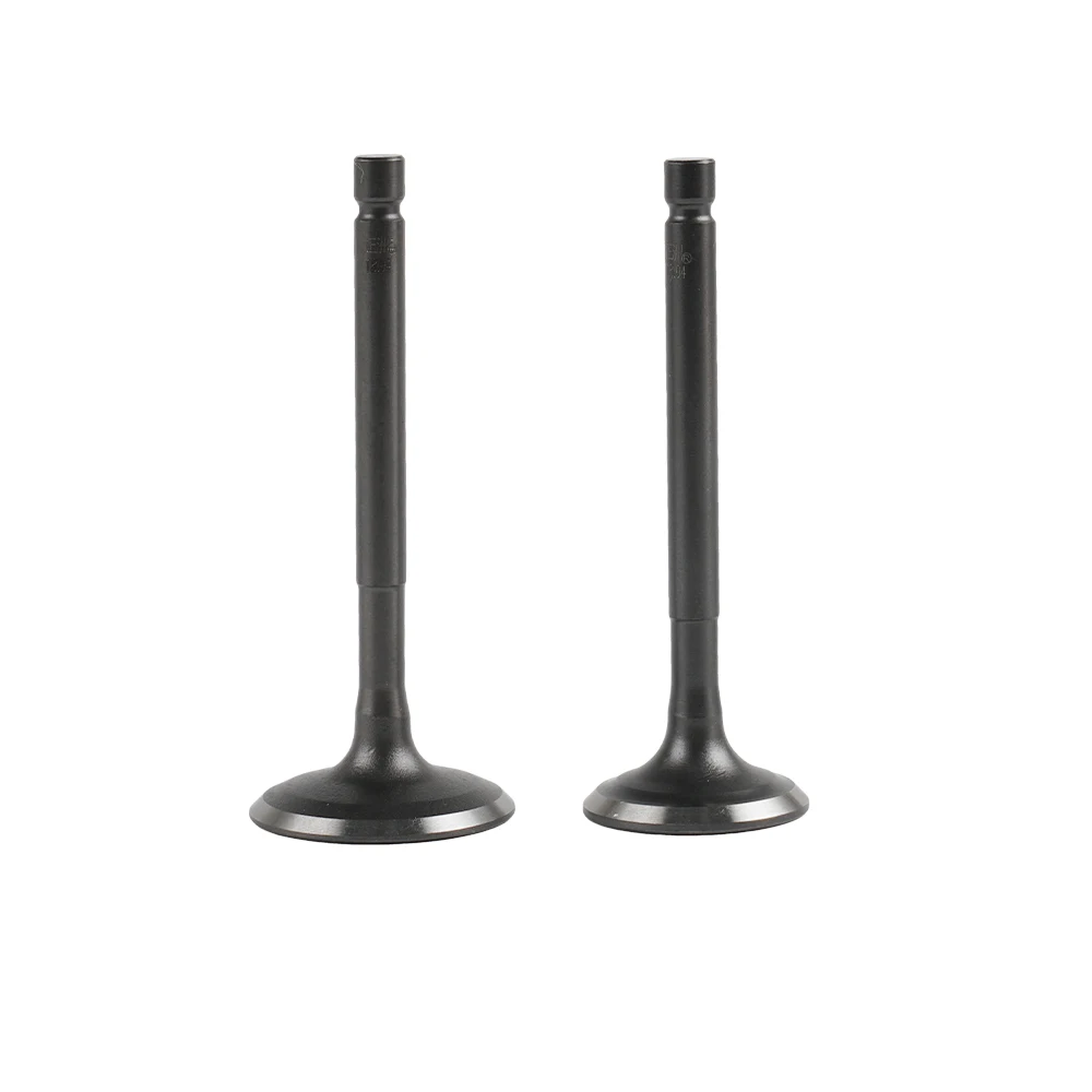 NICECNC мотоциклетные клапаны Впускной выхлоп для Yamaha TTR125 TTR 125 TT R125 2000- VIS027 VES027
