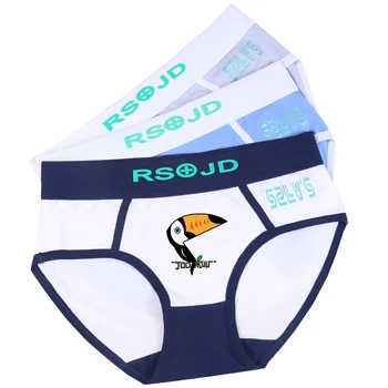

HaleyChan Cotton Cartoon Print Briefs 1 Pack Briefs for Tomboy Trans Lesbian Transgender Ftm Women Underwear Mid-Rise Panties