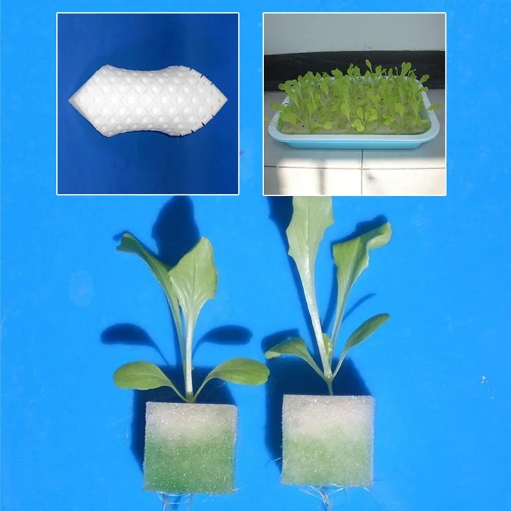 50 Pcs Soilless Hydroponic Vegetables Nursery Pots Sponge Culture System Water Planting Seedling Home Garden