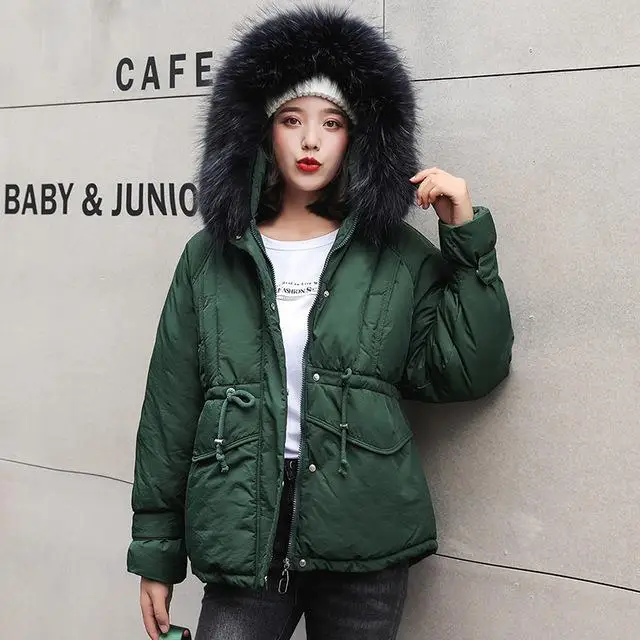 Модная повседневная женская зимняя куртка с хлопковой подкладкой, теплая плотная женская короткая куртка с большим меховым воротником, женские куртки - Цвет: Зеленый