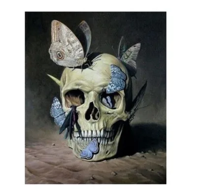 

DIY Diamond Painting 5D Skeleton Resin Full of Crystals Manufacturers Direct Selling Recruitment Agent Support a Generation of F