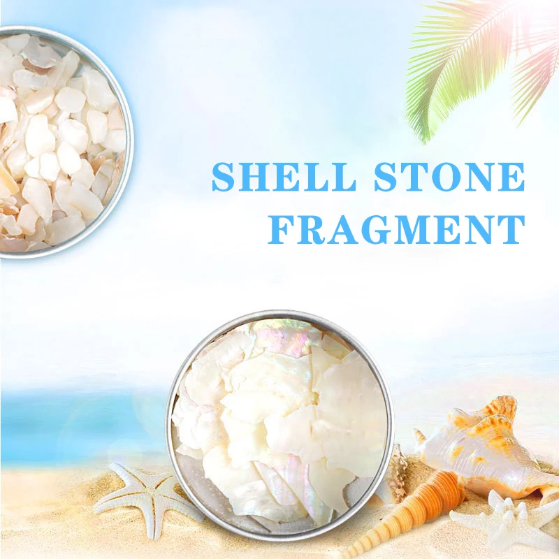 Shell fragment. Shell fragment