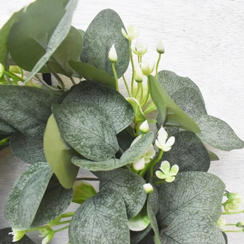 

Lucky Eucalyptus Money Leaf Eucalyptus Wreath Decoration Nontoxic Odour-free Home Decoration High Quality