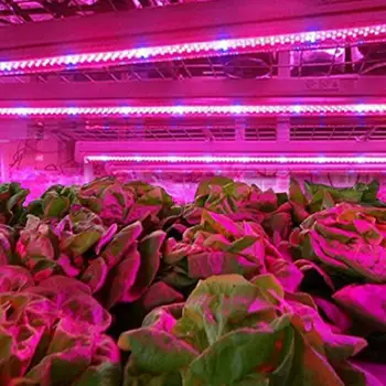 

LED Plant Flower Grow Light Tape Red Blue 4:1 Lamp Strip IP20 Waterproof