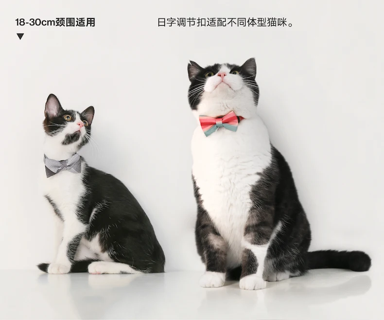Xiaomi Pidan английский стиль кошки Бабочки Ошейник для щенка собаки кошки галстук-бабочка решетчатый Тип галстук маленький кот Щенок Котенок анти-загнутый