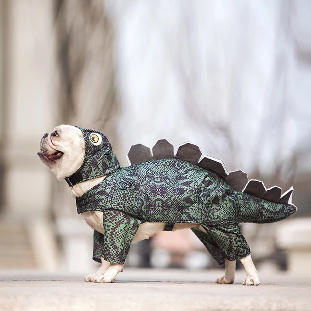 Dogs Clothes Small Pet Costume Halloween Dinosaur Costume Dog Clothing  Preppy Outfits Funny Apparel 