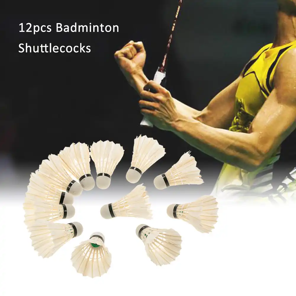 12pcs Badmintons Duck Goose Feather Cock Foam Head Shuttle Cocks Shuttlecocks Set Badminton Ball Game Storage Tube Badmintons Shuttlecock Aliexpress