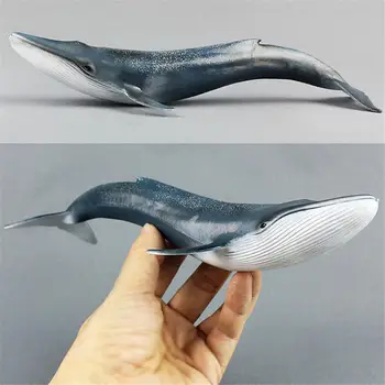 

27cm Simulation Whale Ocean Sealife Animals PVC Model Kids Learning Toy Gift For Kids Learning Toy Children Gift