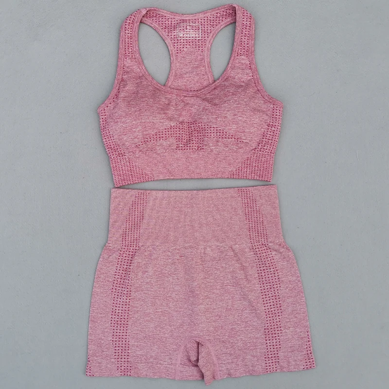 New-Summer-Seamless-Yoga-Sports-Suits-Women-Workout-Clothes-Sport-Bra-High-Waist-Fitness-Shorts-2