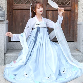 

Lady Hanfu Classical Costume Tang Dynasty Dance Dress Chinese Ancient Fairy Princess Tang National Traditional Clothing DL4140