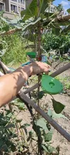 Herramientas de jardín, atado de plantas, tapenador de hierba vegetal, herramientas de atado manual, máquina de encuadernación, tapenador