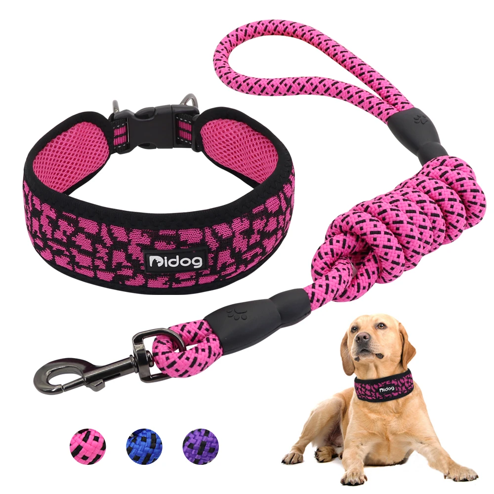 dog collars for walking training