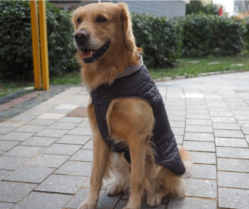 Dog winter clothes, large and medium sized dog coats, Golden Retriever small dog vest, pet supplies