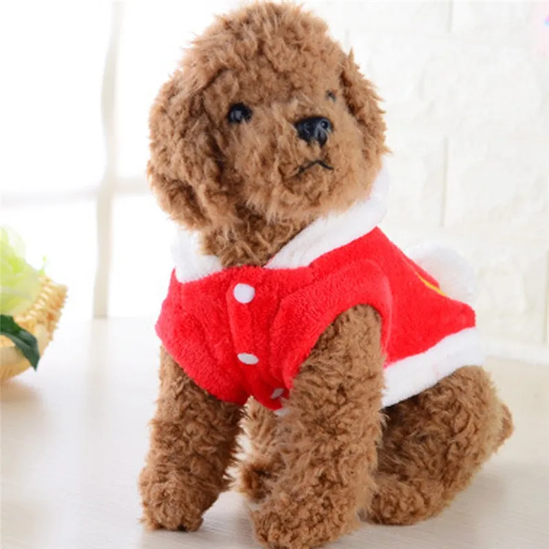 PLL91002510L_0255046607257015075