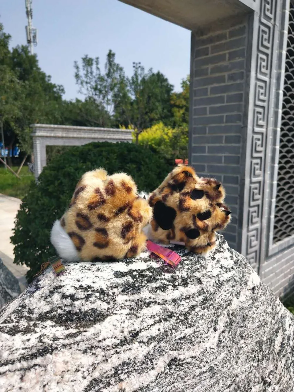 IMG_8559(20200828-151800)