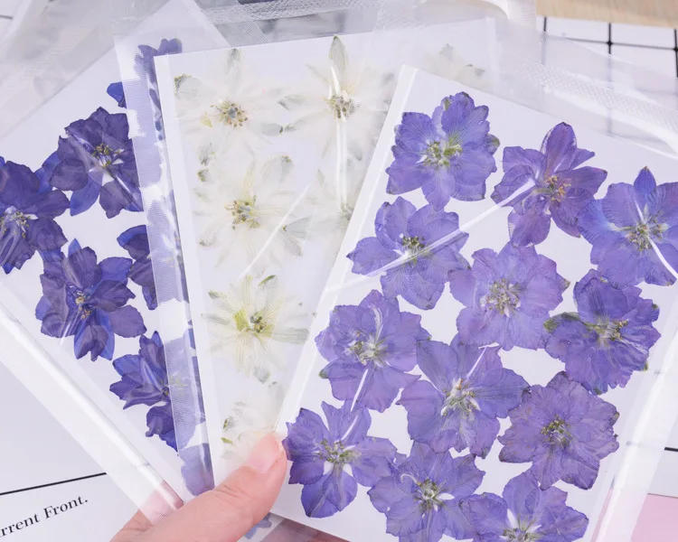 10328974766_448688674