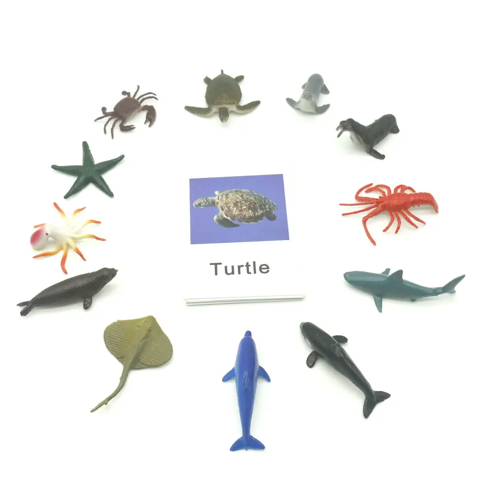 Montessori Toys Ocean Animal Match Cards and Figurines, Matching Game Language Learning Materials Juguetes Montessori L1046F