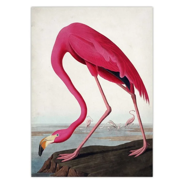 Vintage-Bird-Audubon-Bird-Posters-Pink-Flamingo-Snowy-Owl-Blue-Heron-White-Egret-Painting-Wall-Art.jpg_.webp_640x640 (5)