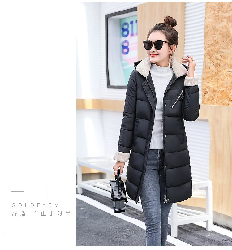 9097969992_1006637240