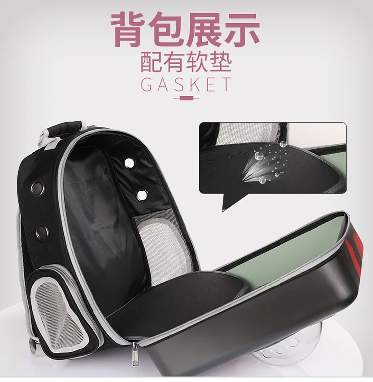 12355920536_1674681864