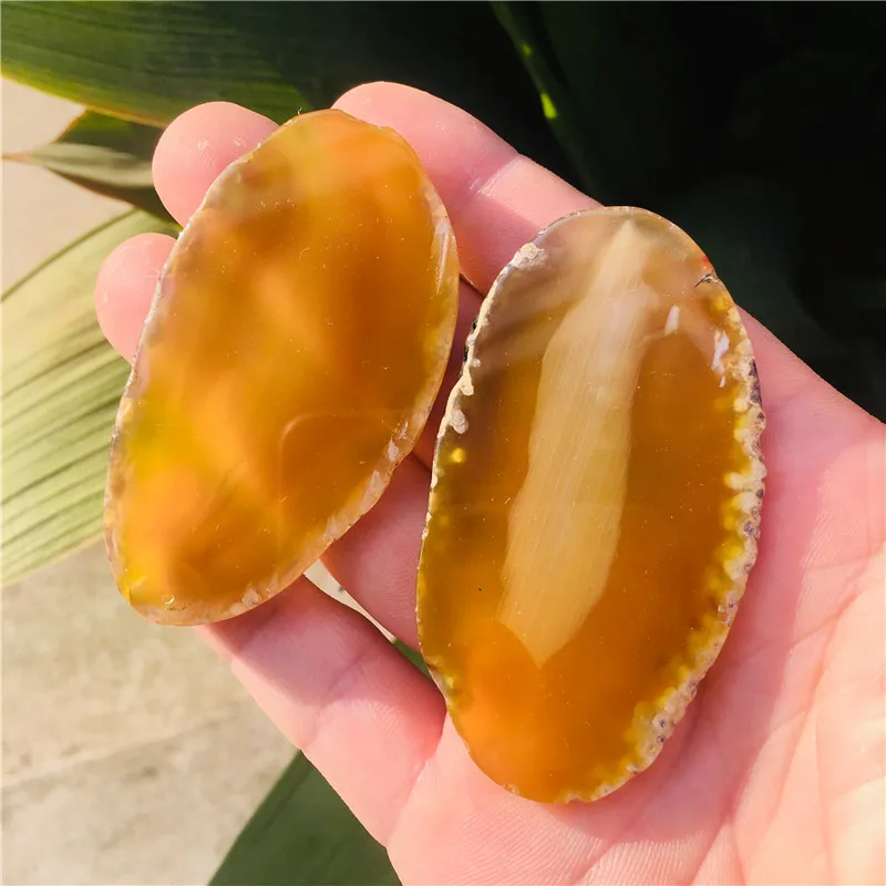 IMG_1397(20201115-083508)