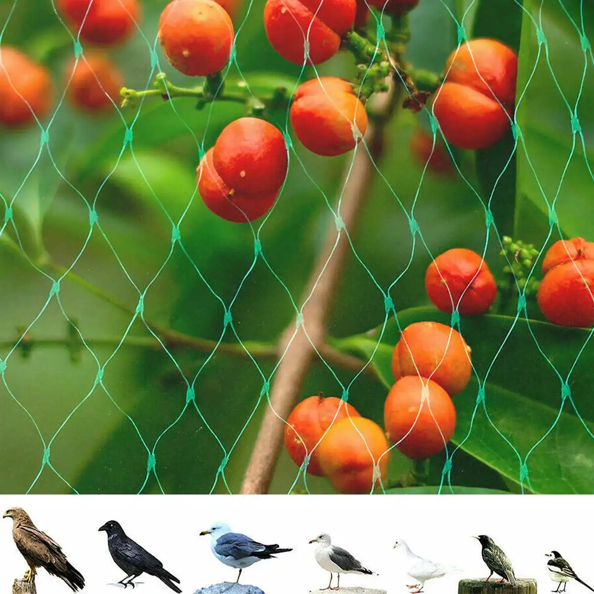 Anti Bird Netting Garden Netting Mesh Fruit Vegetables Net Protection