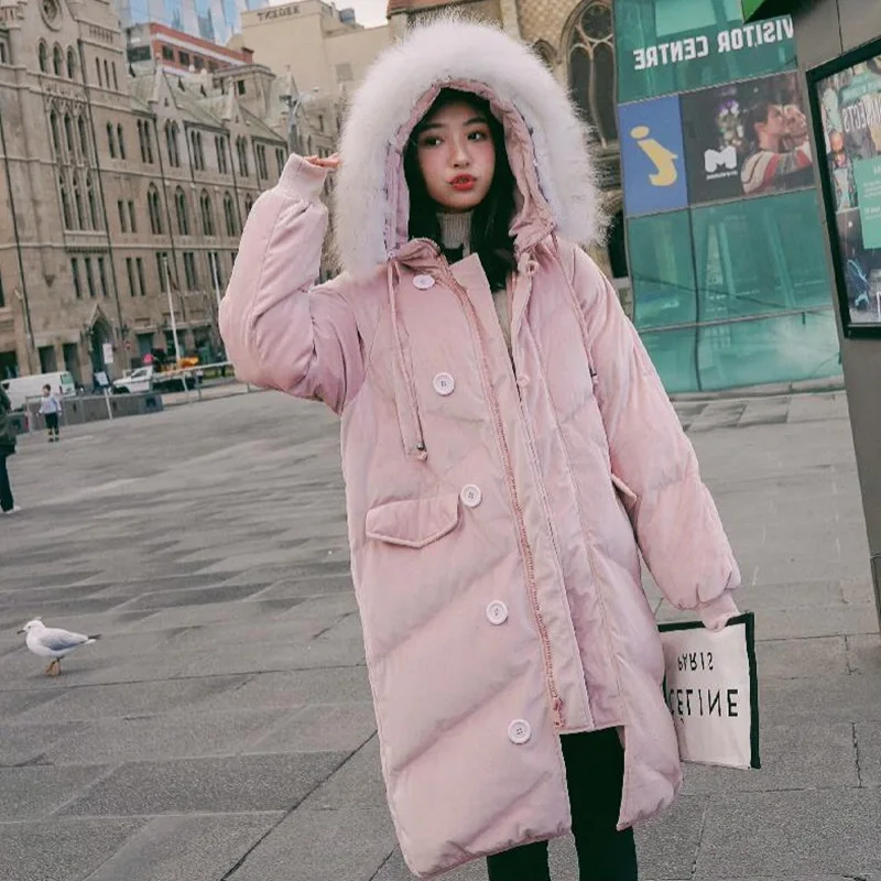 

Photo Shoot CHIC Korean-style New Blue Color Gold Velvet Long down Coat Hooded Model Large Fur Collar Cotton Coat Women's