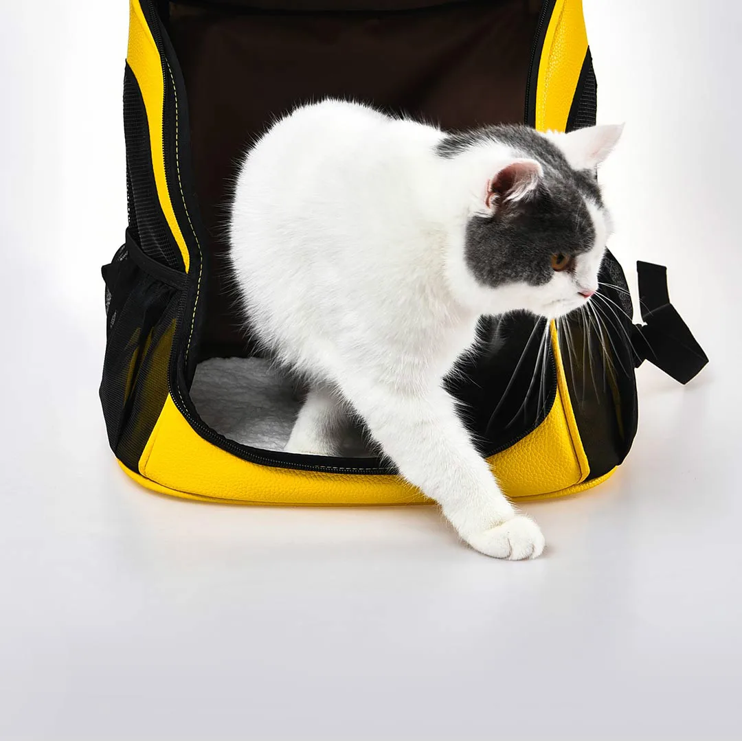 Xiaomi Pet Cats рюкзак для путешествий на открытом воздухе капсула дышащий щенок котенок кошки переноска клетка с окном мягкая подушка коврик