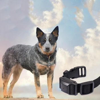 

Dog Anti-Bark Collar Automatic Rechargebalbe And Waterproof