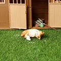 Sleeping cat B