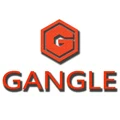 GANGLE Oxygen Sensor Store