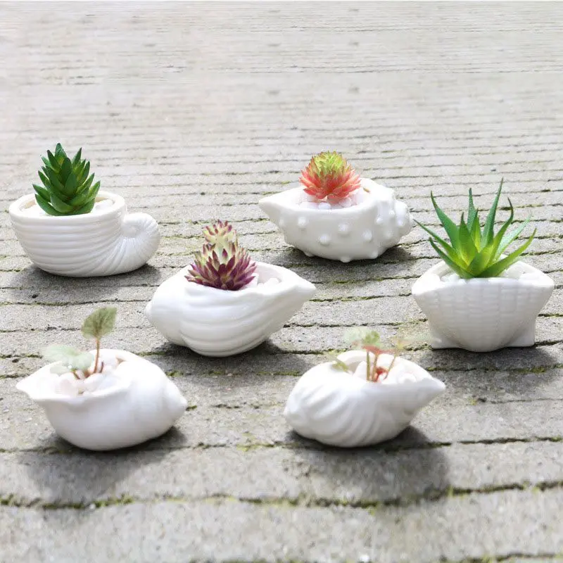 

6pcs/set Mini White Small Flowerpot shell Shape Ceramic Succulent Plant Pot Holder Fairy Garden Cactus Flower Pots Planter
