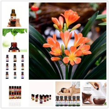 

Hot Essential Oil Natural Clivia Aroma Oil Jasmine Peppermin Patchouli Body Massage Oil Water-soluble Aromatic Home Air Care