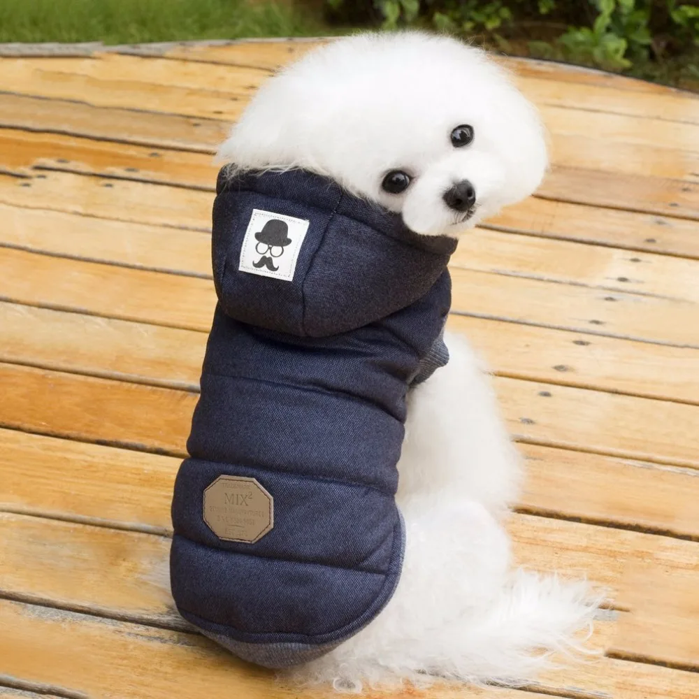 Зимнее пальто с капюшоном для собак, две ноги, хлопковая стеганая одежда с рисунком усов для домашних животных, сохраняющая тепло, забота о здоровье домашних животных