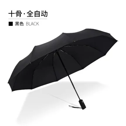 10 Ribs Umbrella B Полностью автоматический зонт для мужчин открытый parapluie femme большой складной усиленный ветер алюминиевый сплав трубка Солнечный дождливый зонтик QZH143 - Цвет: 10 Ribs Umbrella B