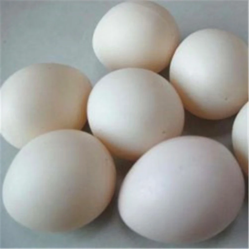 10 шт. поддельное белое полое яйцо пластиковое яйцо Волшебные трюки, используемые для появления/исчезающее яйцо Волшебные трюки аксессуары реквизит забавные