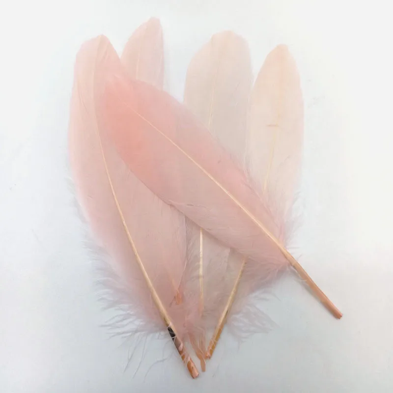 Shell pink Fea ther