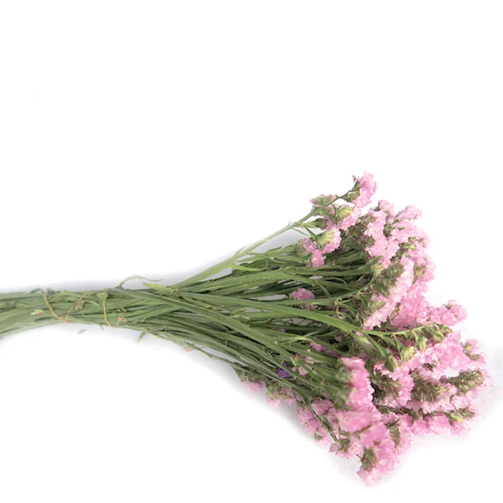 2918726682_1619368995