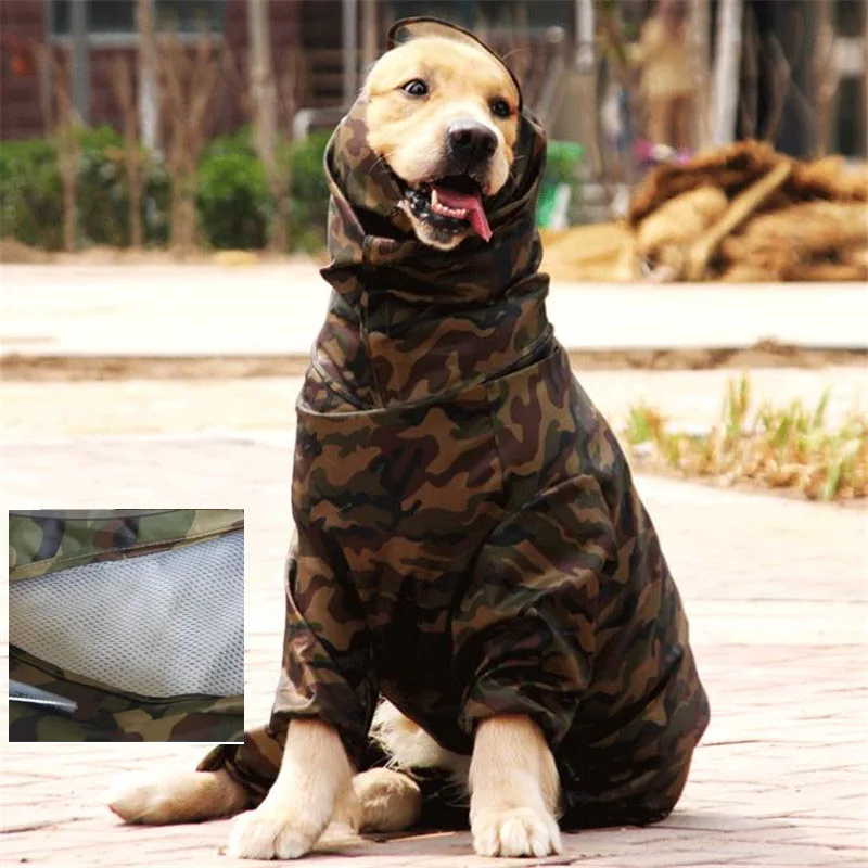 HTB1uSLrKf9TBuNjy1zbq6xpepXat