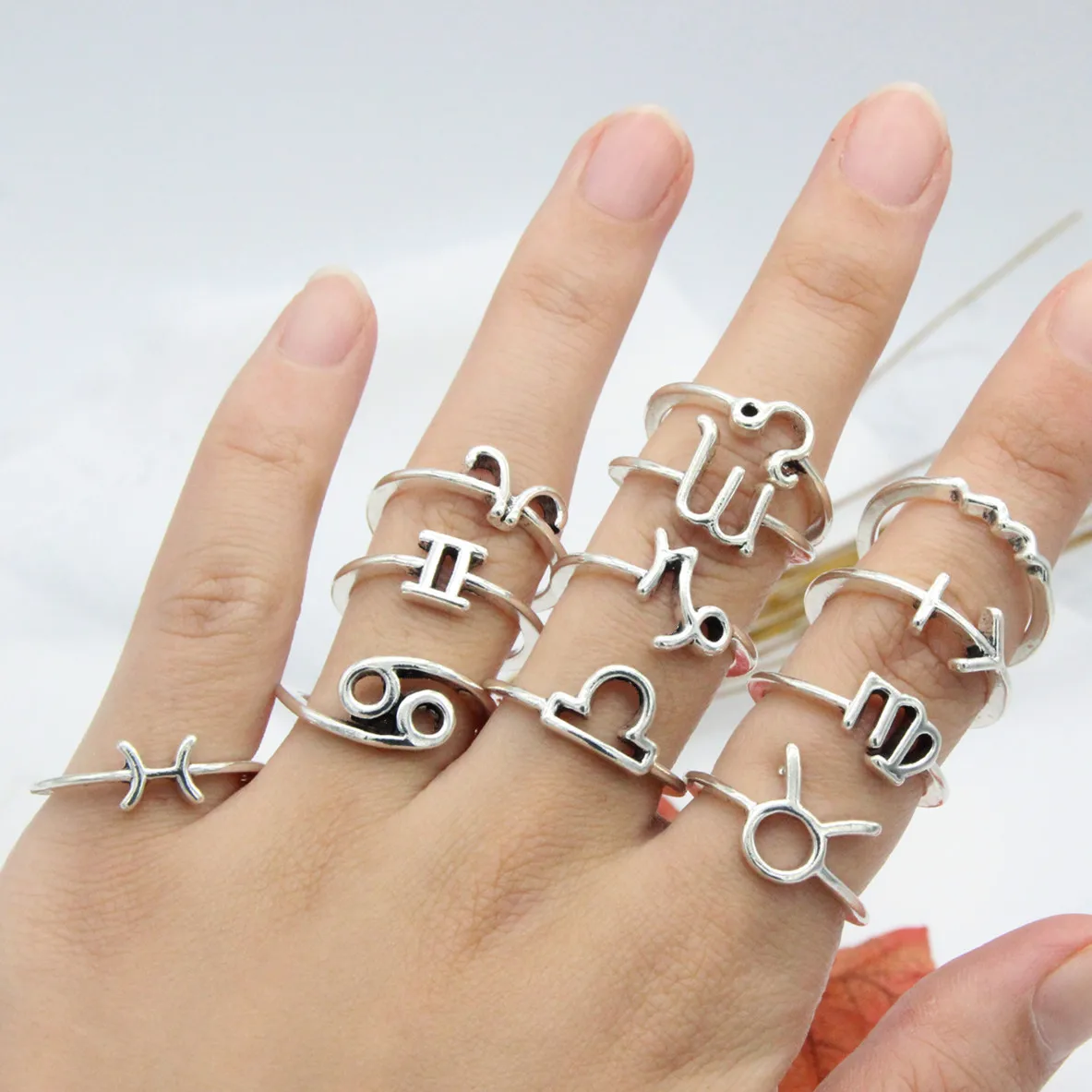 

12pcs Twelve Constellation One Size Fashion Simple Silver Suit Ring Wholesale Rings for Women Anniversary