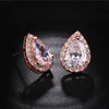 Rosegold Earrings