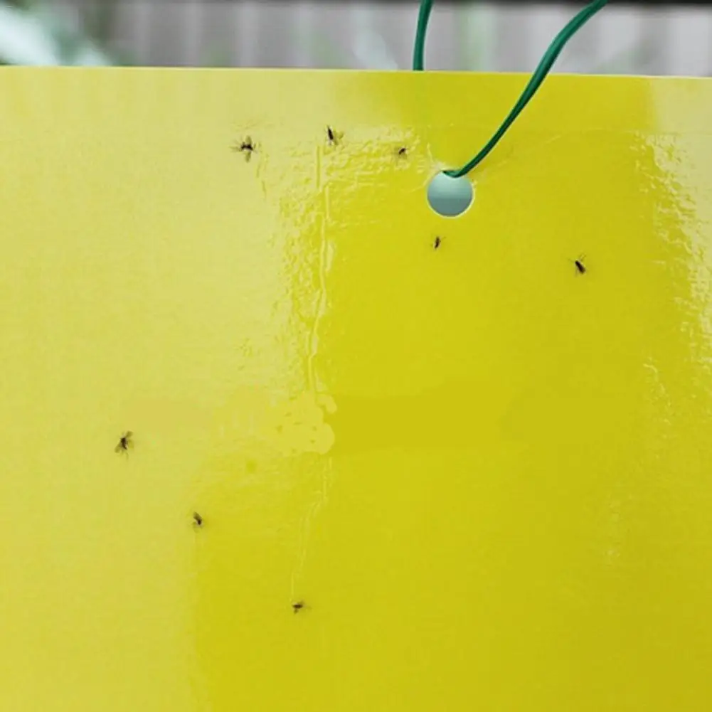10 шт. Armyworm Flypaper двухсторонняя желтая липкая ловушка убийца насекомых для летающих растений насекомых тли товары для домашнего сада