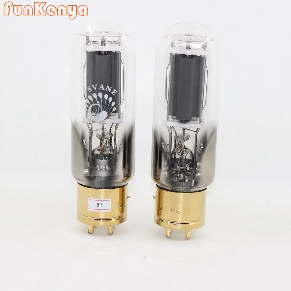 2 Piece PSVANE Brand NEW Classic Series Vacuum Tube 845 Amplifier HIFI Audio | Электроника