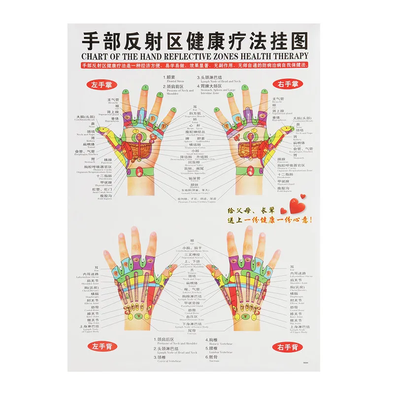 hand 1 шт./компл. акупунктурный массаж точки карту на китайском и английском языках «Меридиан» биологически активные точки Плакаты Таблица Настенная карта для медицинской учебной - Цвет: hand