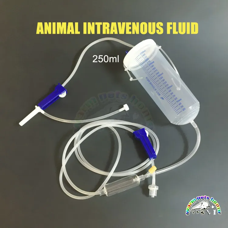 How Much Iv Fluid Can You Give A Dog